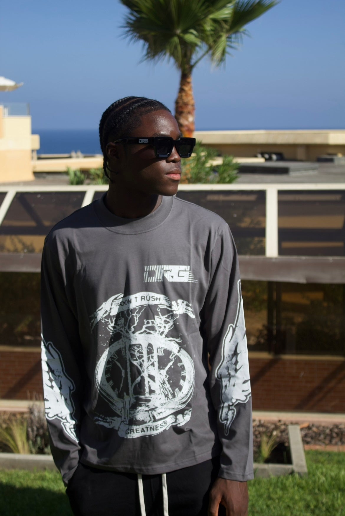 Graphic long sleeve T-shirt (grey)